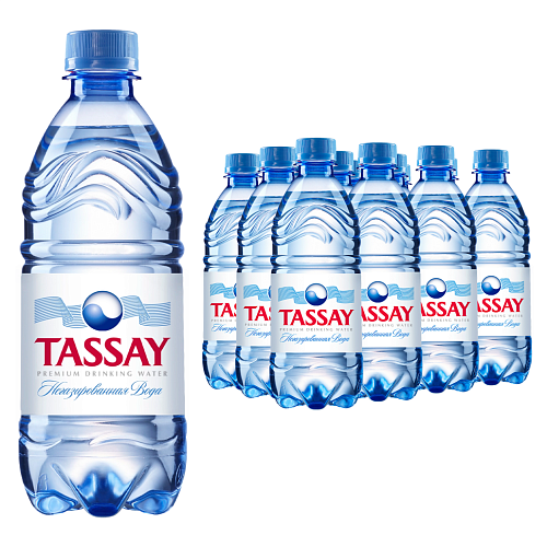 Вода TASSAY питьевая негазированная ПЭТ 0,5л*12 шт